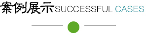 成功案例